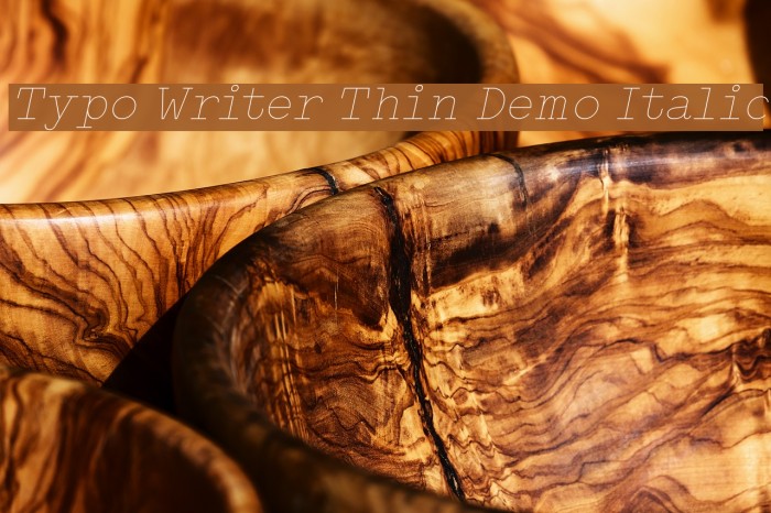 Typo Writer Thin Demo Italic Example 1