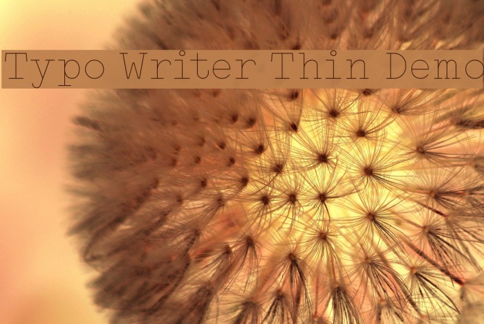 Typo Writer Thin Demo Font examples