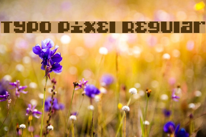 Typo pixel Regular Font examples
