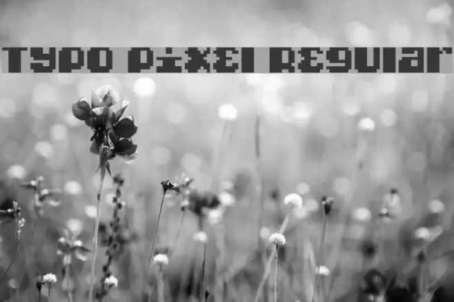 Typo pixel Regular Polices examples