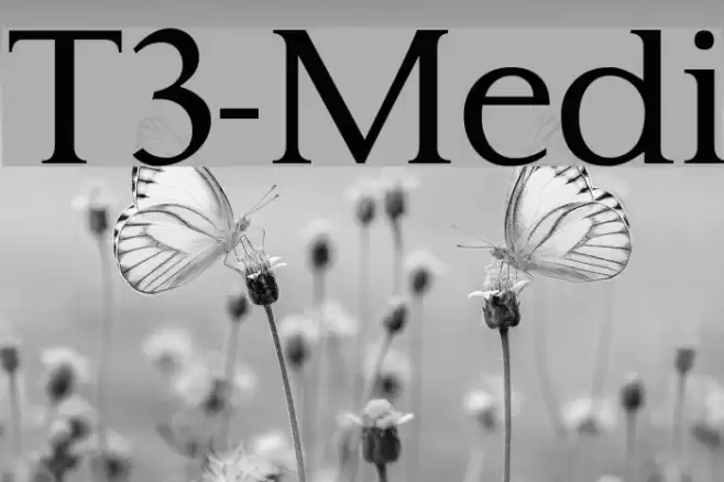 Typo3-Medium Font examples