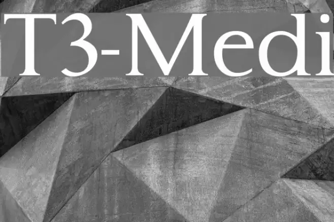 Typo3-Medium Font examples