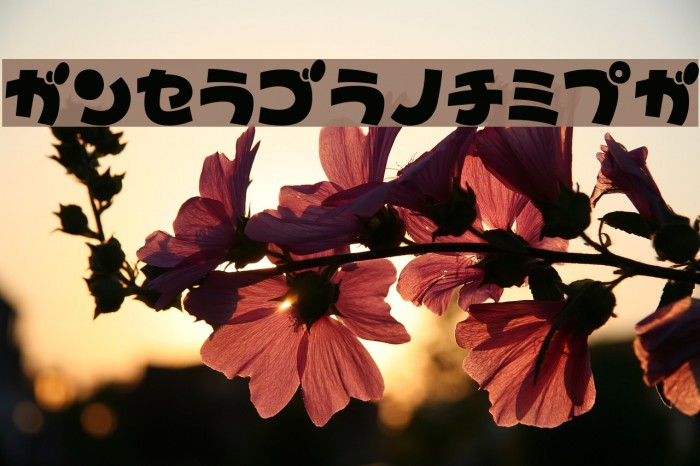 TypoBokanKT Example 1