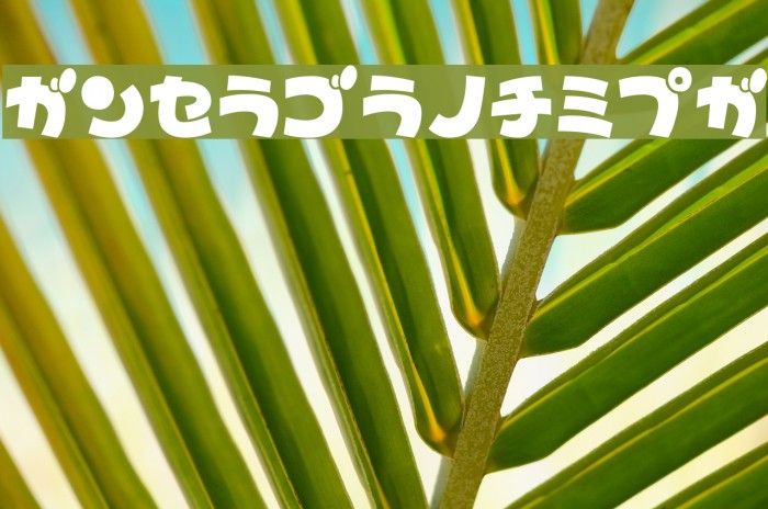 TypoBokanKT Example 2