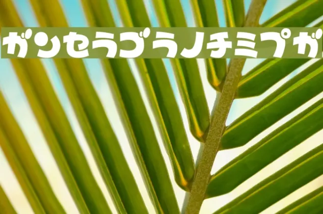 TypoBokanKT Example 2