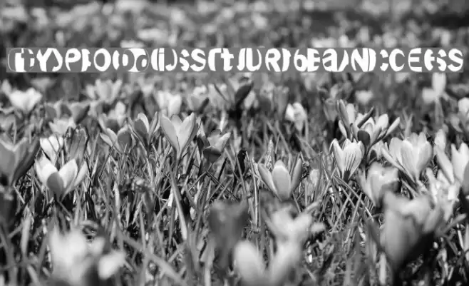 TypoDisturbances Font examples