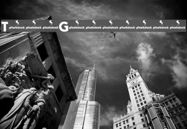 TypoGraphica Font examples