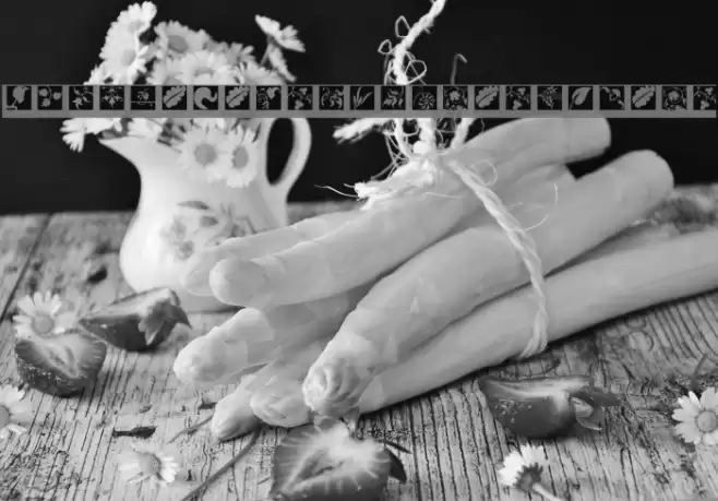 TypoJewelsSquaresInvers Font examples