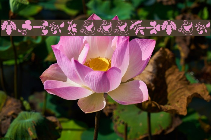 TypoJewelsTwo Example 3