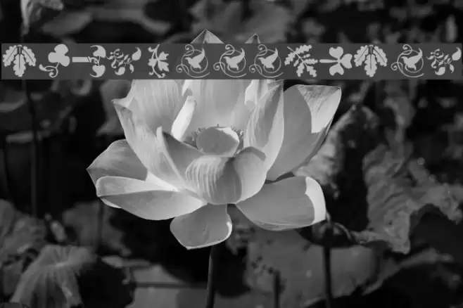 TypoJewelsTwo Font examples