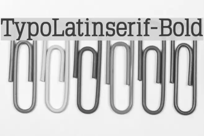 TypoLatinserif-Bold Font examples