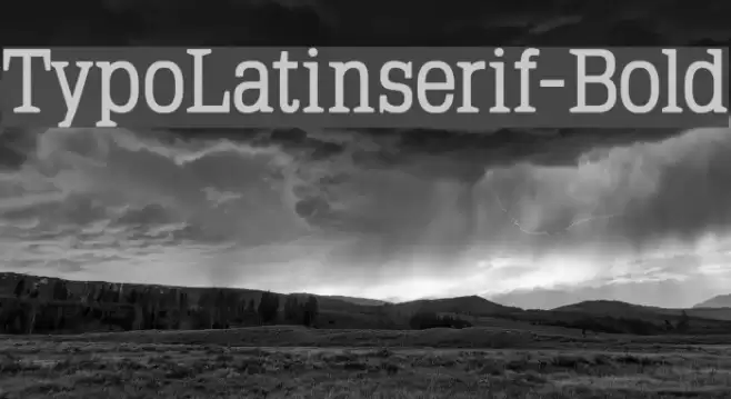 TypoLatinserif-Bold Font examples
