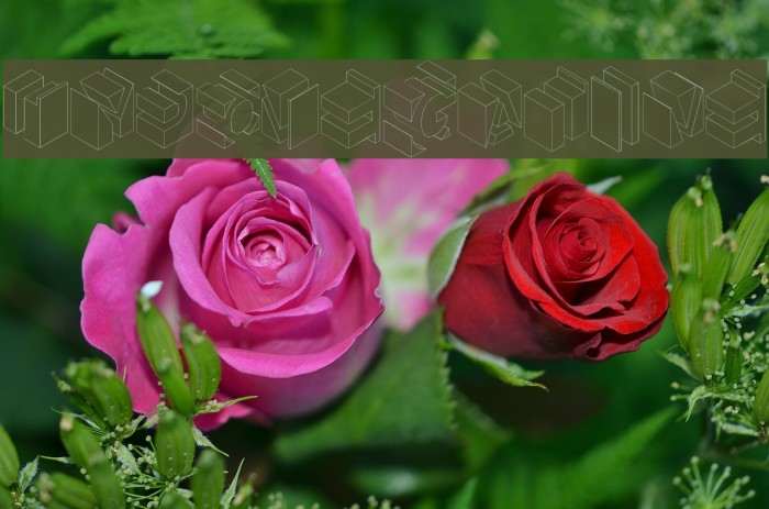 TypoNegative Font examples