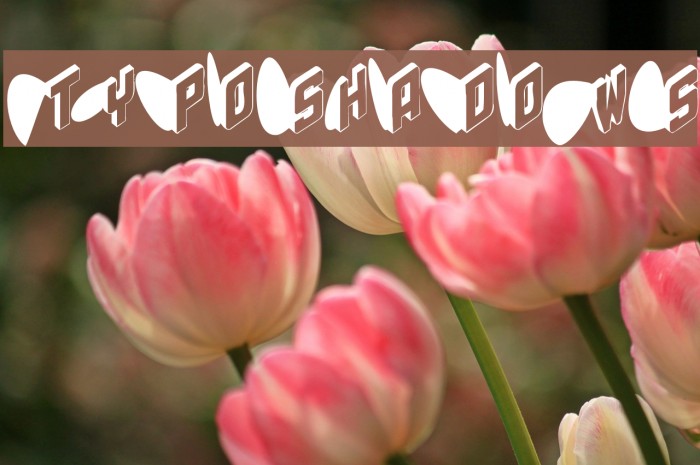 TypoShadows Example 1