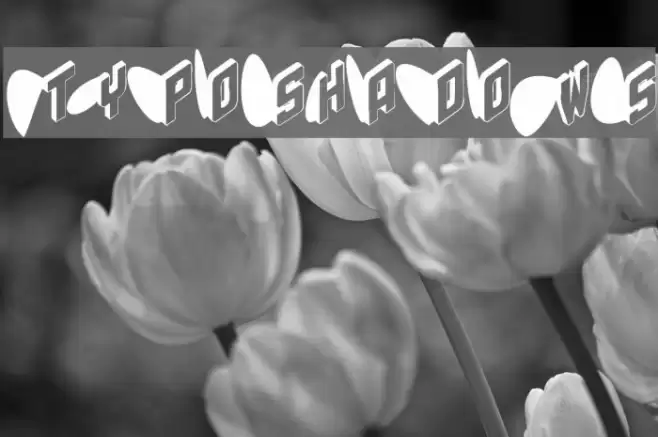 TypoShadows Font examples