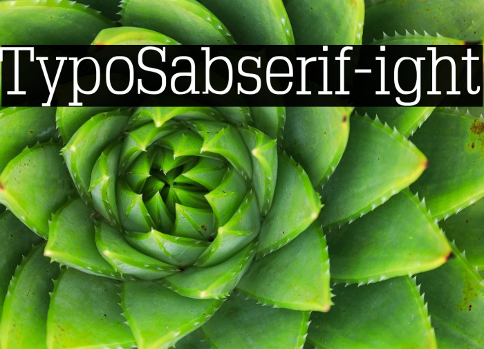 TypoSlabserif-Light1 Example 1