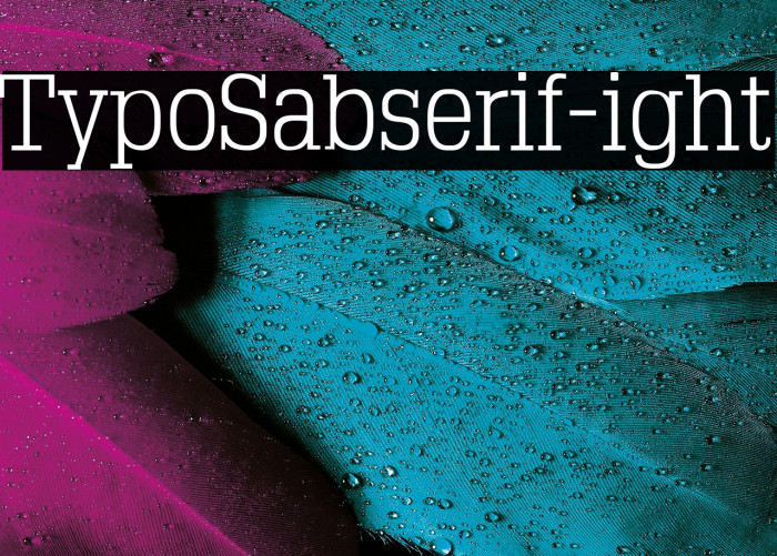 TypoSlabserif-Light1 Example 2