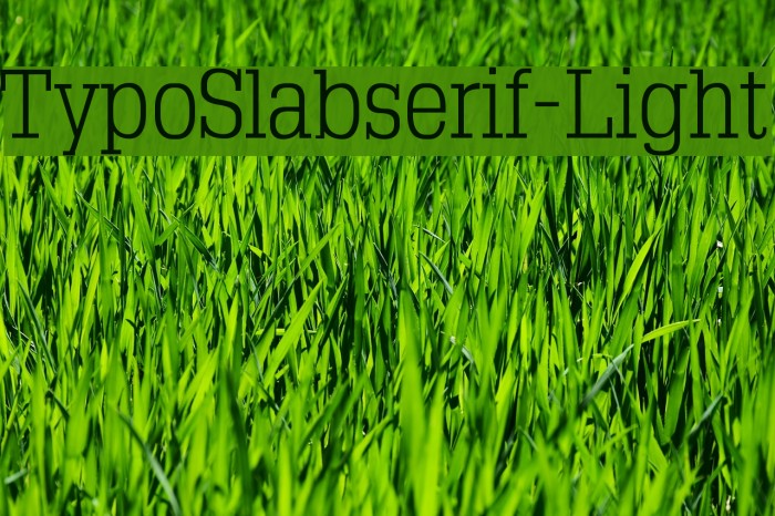 TypoSlabserif-Light Font examples
