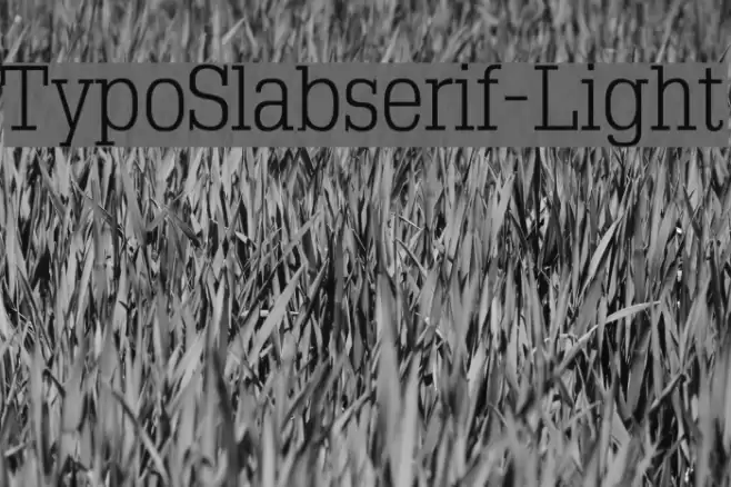TypoSlabserif-Light Schriftart examples