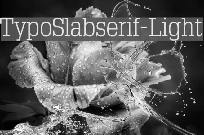 TypoSlabserif-Light Schriftart examples