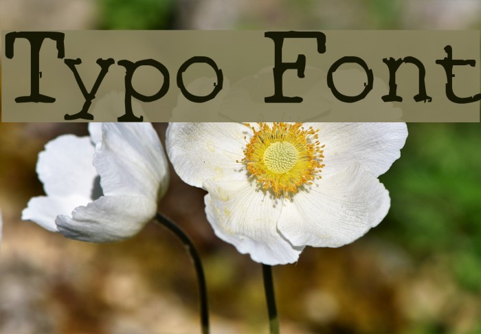 Typo Font examples