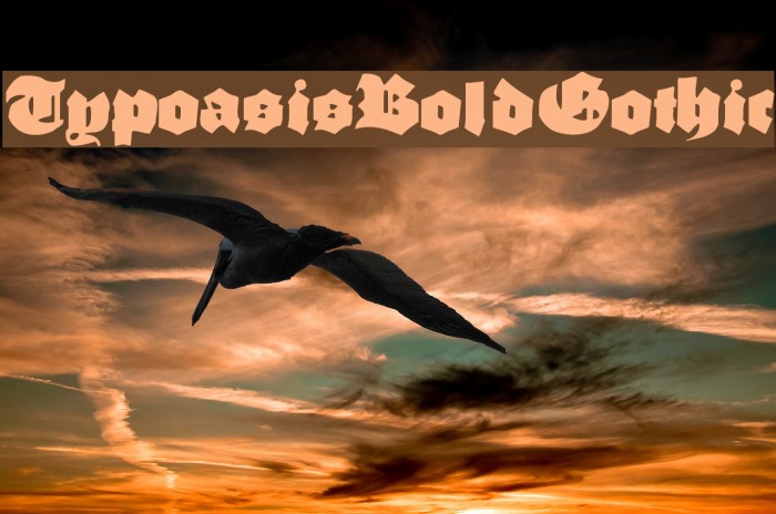 TypoasisBoldGothic Font examples