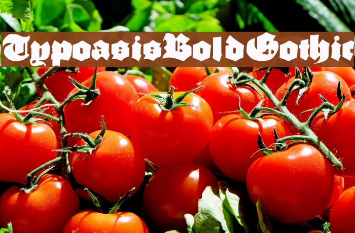 TypoasisBoldGothic Font examples