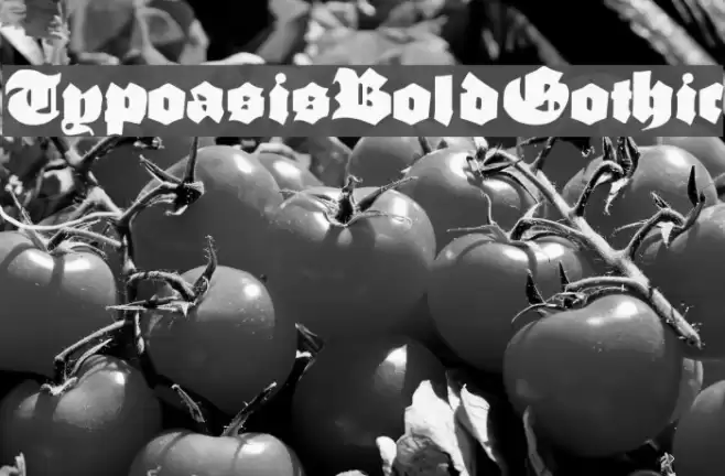TypoasisBoldGothic Fonte examples