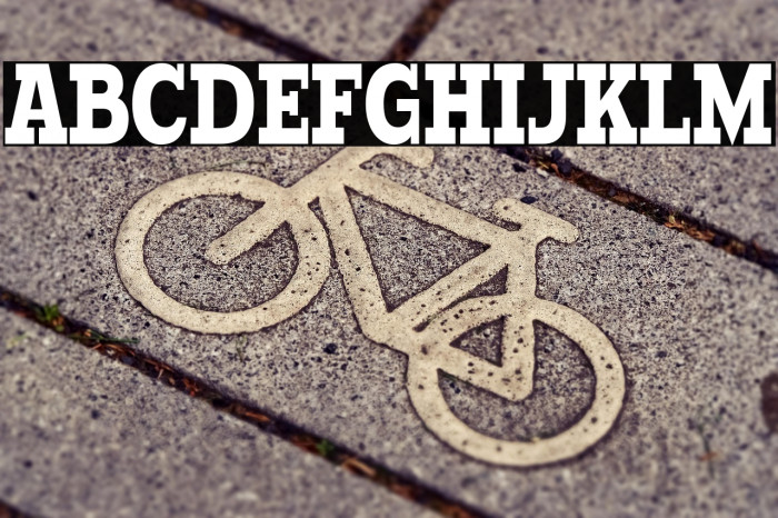 Typodermic-Regular Example 2