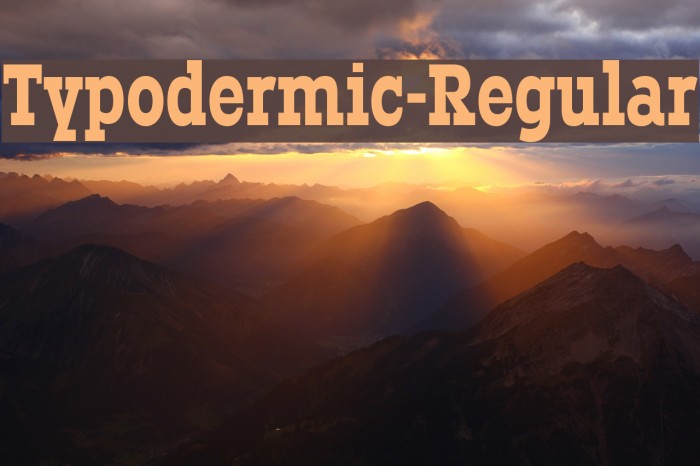 Typodermic-Regular Font examples