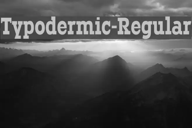 Typodermic-Regular Шрифта examples