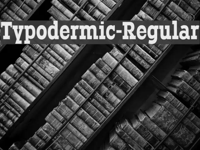 Typodermic-Regular Шрифта examples