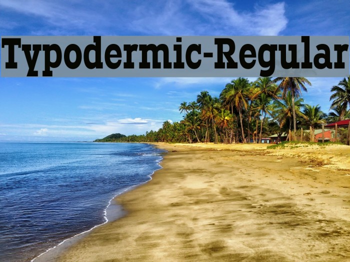 Typodermic-Regular Font examples