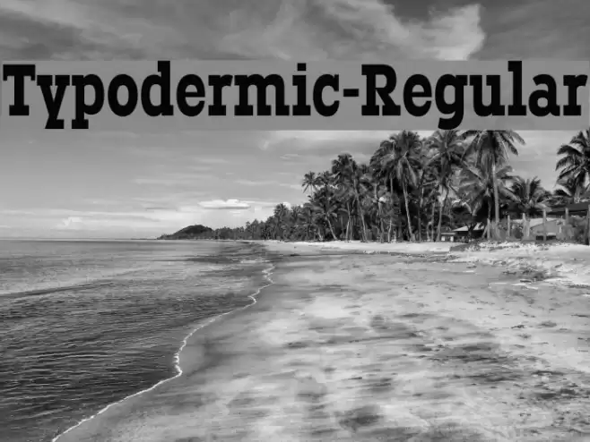 Typodermic-Regular Шрифта examples