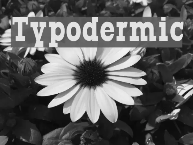 Typodermic Font examples