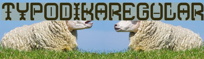 Typodika-Regular Example 2