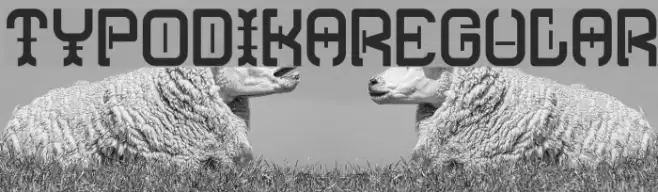 Typodika-Regular Font examples