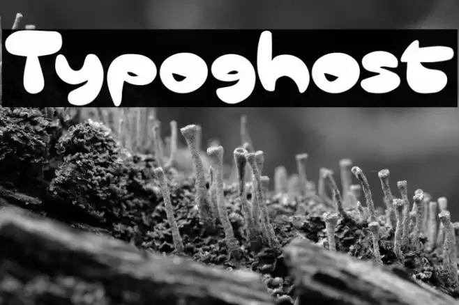 Typoghost Font examples