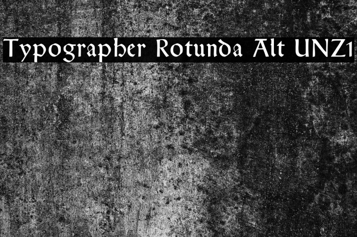 Typographer Rotunda Alt UNZ1 Font examples