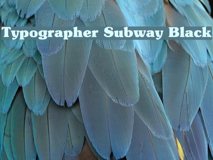 Typographer Subway Black Font examples