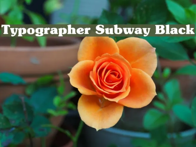 Typographer Subway Black Example 2