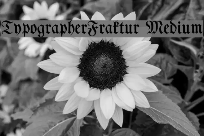 TypographerFraktur Medium フォント examples