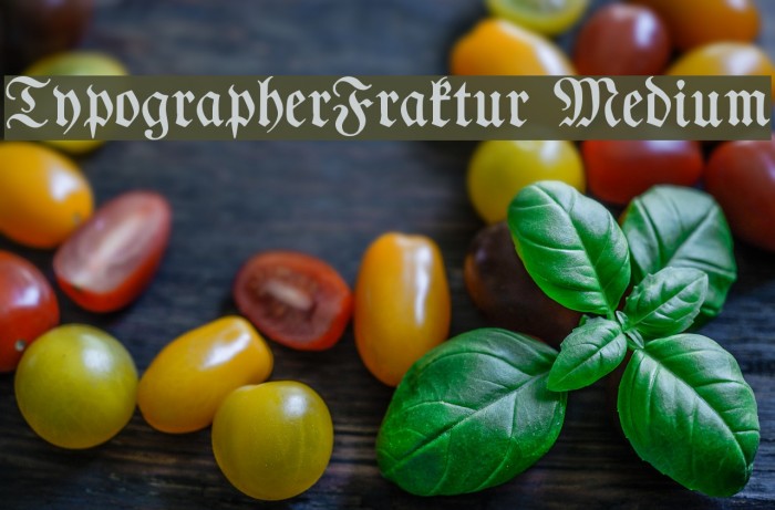 TypographerFraktur Medium Font examples