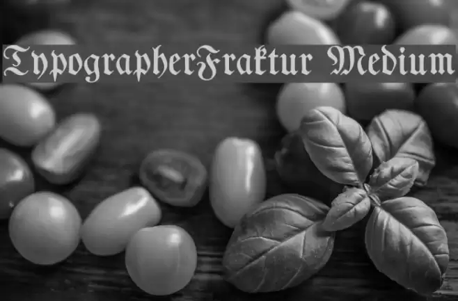 TypographerFraktur Medium フォント examples