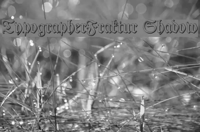 TypographerFraktur Shadow Fonte examples