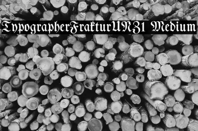 TypographerFrakturUNZ1 Medium Font examples