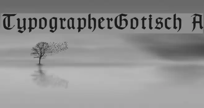 TypographerGotisch A Font examples