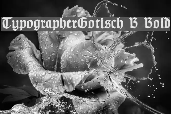 TypographerGotisch B Bold Font examples