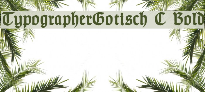 TypographerGotisch C Bold Fuentes examples