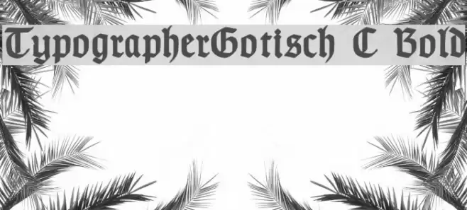 TypographerGotisch C Bold Fuentes examples